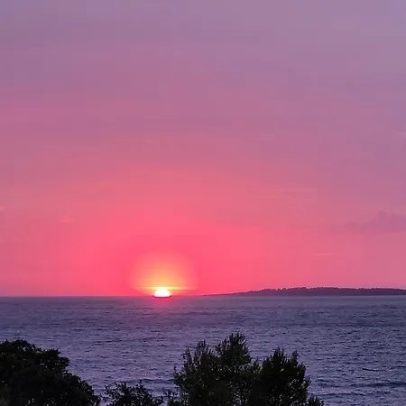 Perfect Nest At Sunset * Vela Luka