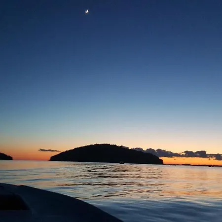 Perfect Nest At Sunset * 尼亚卢卡
