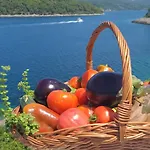 Perfect Nest At Sunset * Vela Luka
