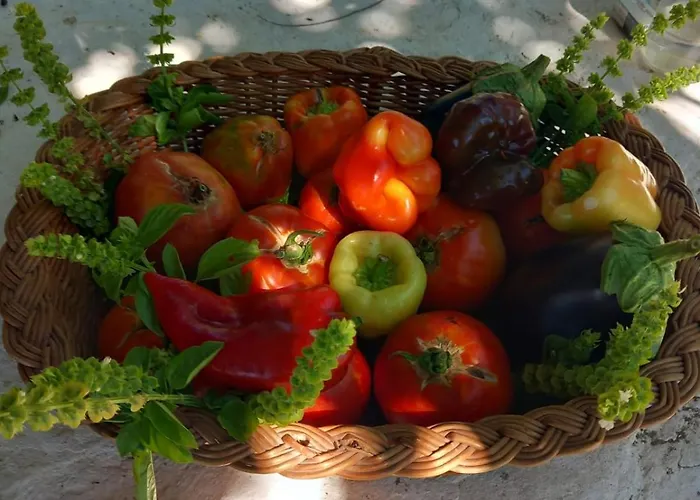 Holiday home Perfect Nest At Sunset *